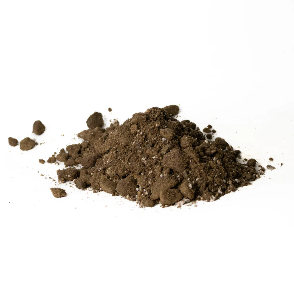 Substrato Specifico per Cactacee e Piante Grasse - Formula Drenante Élite (2LT - 6LT) 🌵✨