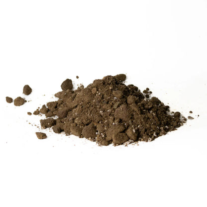 Substrato Specifico per Cactacee e Piante Grasse - Formula Drenante Élite (2LT - 6LT) 🌵✨