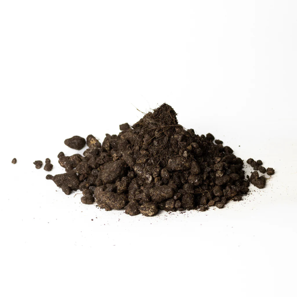 Substrato per Piante Grasse e Succulente - Mix Drenante Pronto all&