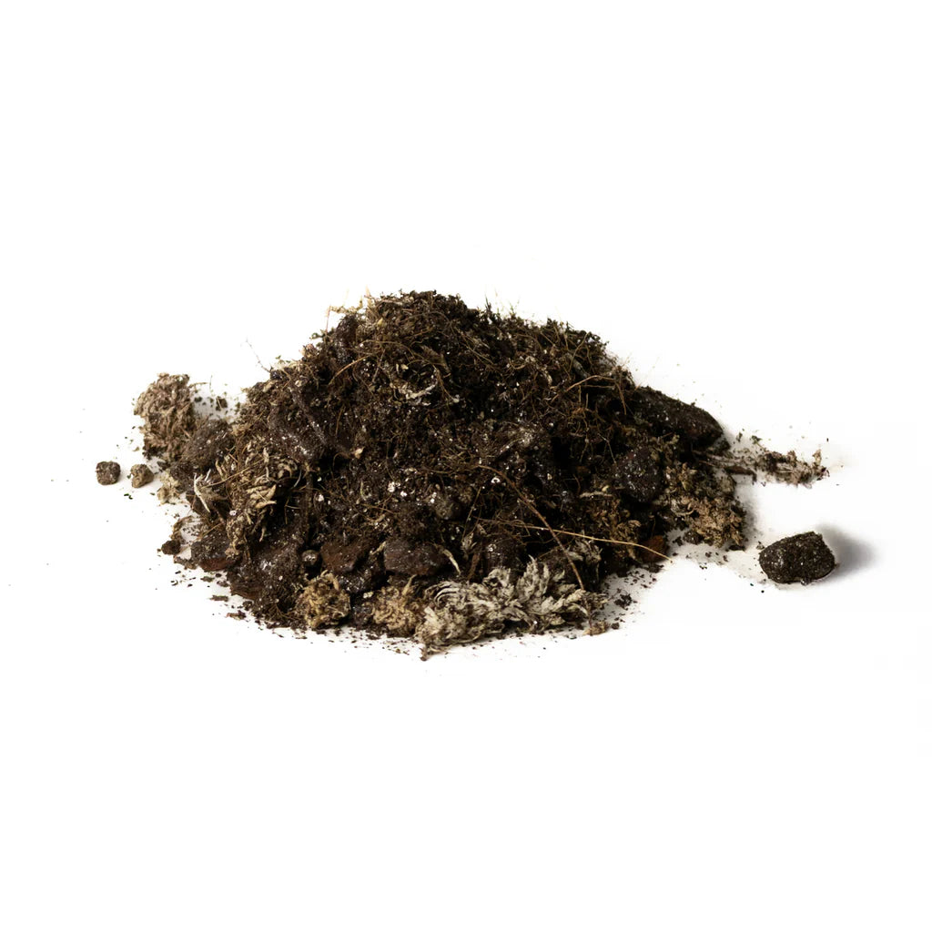 Terriccio per Piante Verdi &