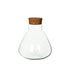 Vaso in vetro Venus Medium Dreaming Plants con tappo in sughero naturale, forma a ampolla capiente per l&