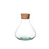 Vaso in vetro a forma di ampolla Venus Small Dreaming Plants per l&