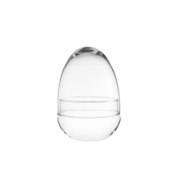 Vaso in vetro a forma di uovo modello Small Dreaming Plants per piccoli terrarium chiusi con muschio e mini piante tropicali.