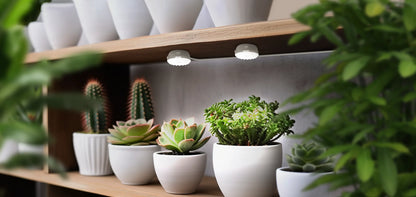 Lampada LED da Coltivazione Adesiva a 2 Teste SANSI (10W - Spettro Completo per Scaffali e Terrarium) 💡🪴✨