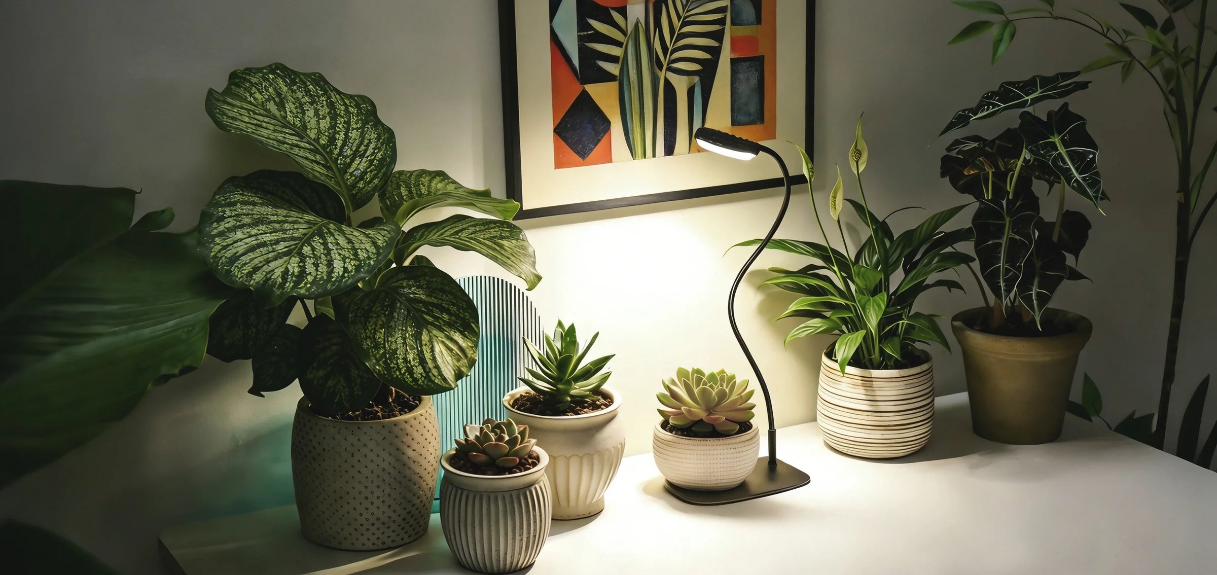 Lampada LED da Coltivazione da Tavolo con Base e Timer SANSI (12W - Spettro Completo per Piante e Terrarium) 💡🌱✨