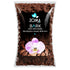 Bark per orchidee premium di Dreaming Plants, corteccia lavata e sterilizzata con granulometria 10-15 mm ideale per il rinvaso sani delle radici.