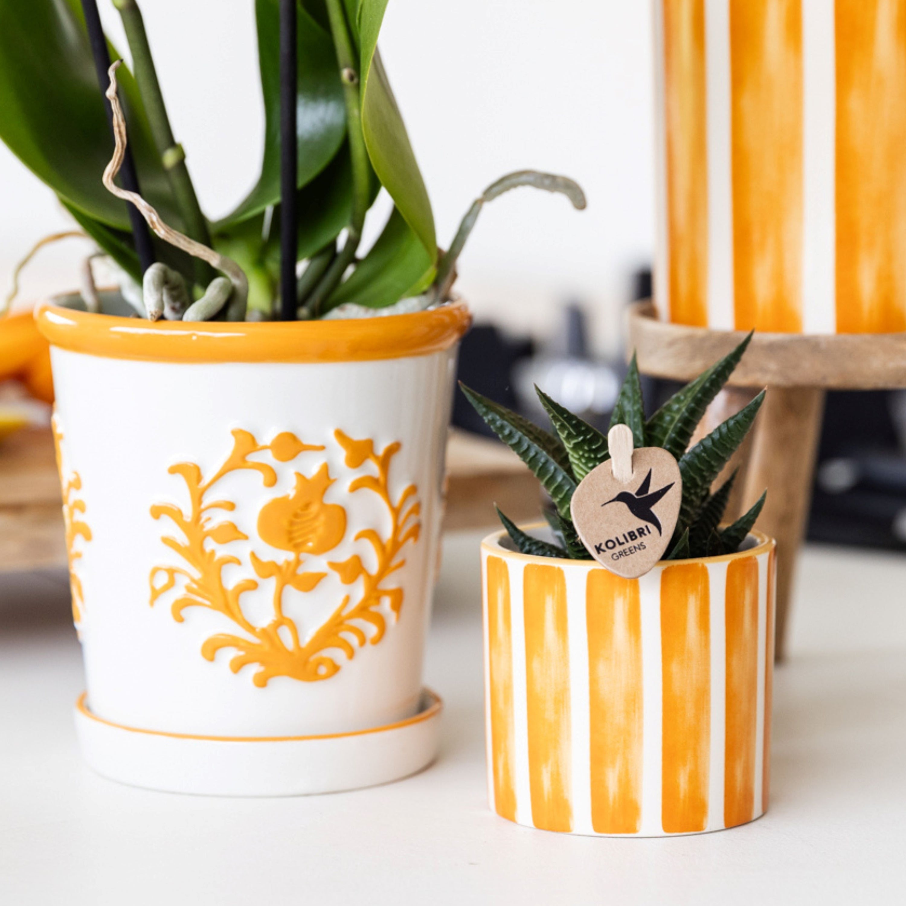 Coprivaso in Ceramica con Strisce Dipinte per Baby Plant (6 cm) ☀️🪴