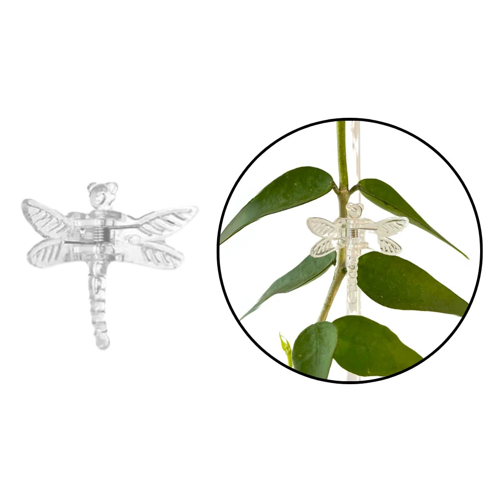 Clip per piante rampicanti Dragonfly PlantScraper trasparenti a forma di libellula per guidare steli su tutori e graticci.