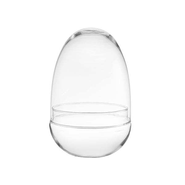 Vaso Terrarium Uovo Large in Vetro Trasparente per Piante Tropicali