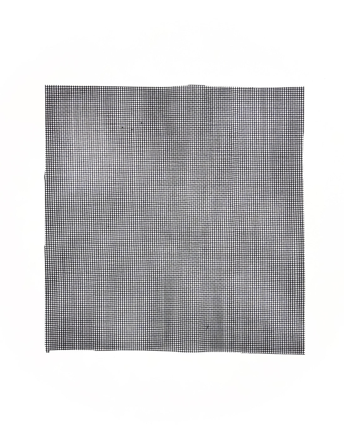 Rete divisoria a maglia stretta 25x25cm Dreaming Plants per separare lo strato di drenaggio dal terriccio, essenziale per la longevità di un terrarium chiuso.