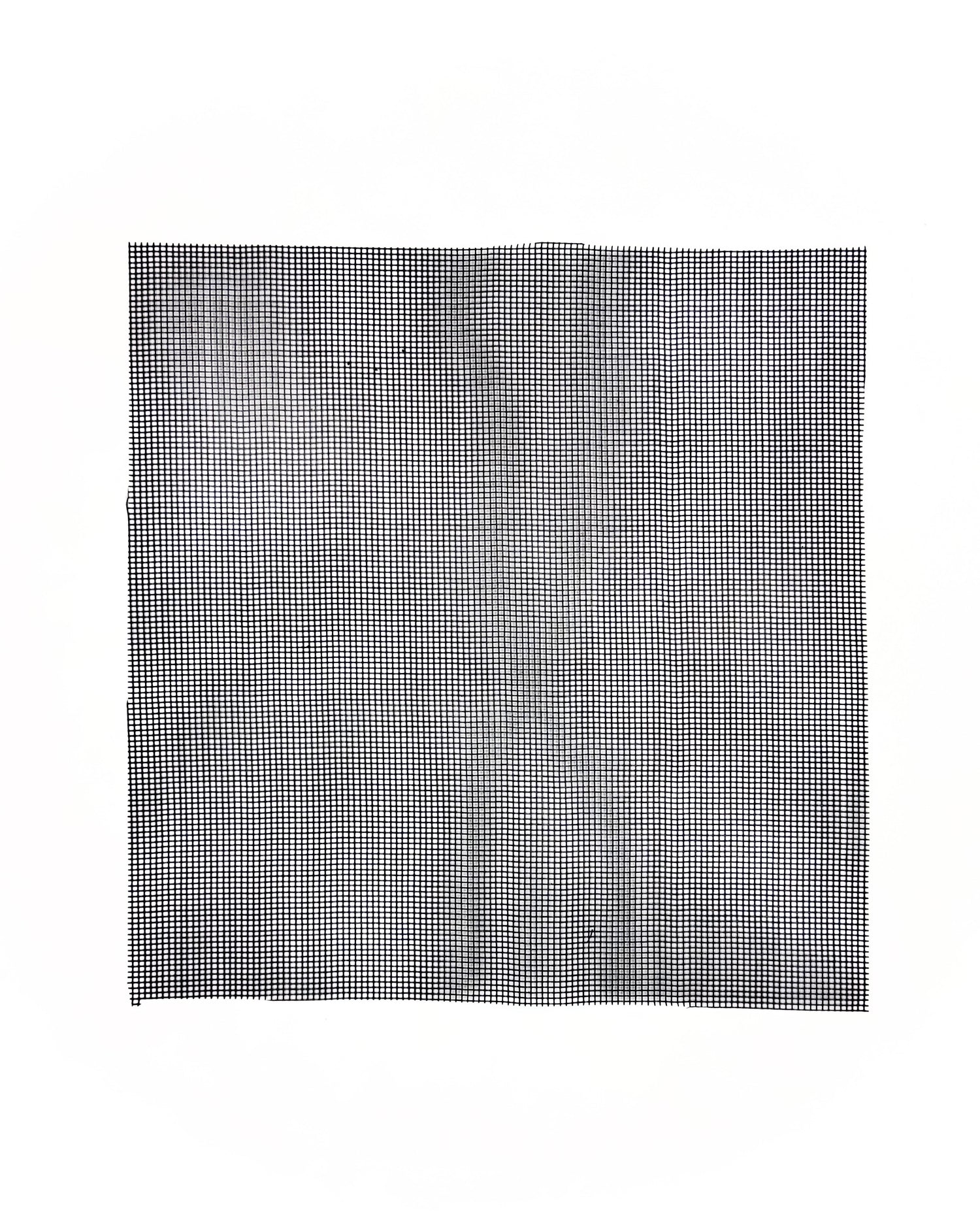 Rete divisoria a maglia stretta 25x25cm Dreaming Plants per separare lo strato di drenaggio dal terriccio, essenziale per la longevità di un terrarium chiuso.