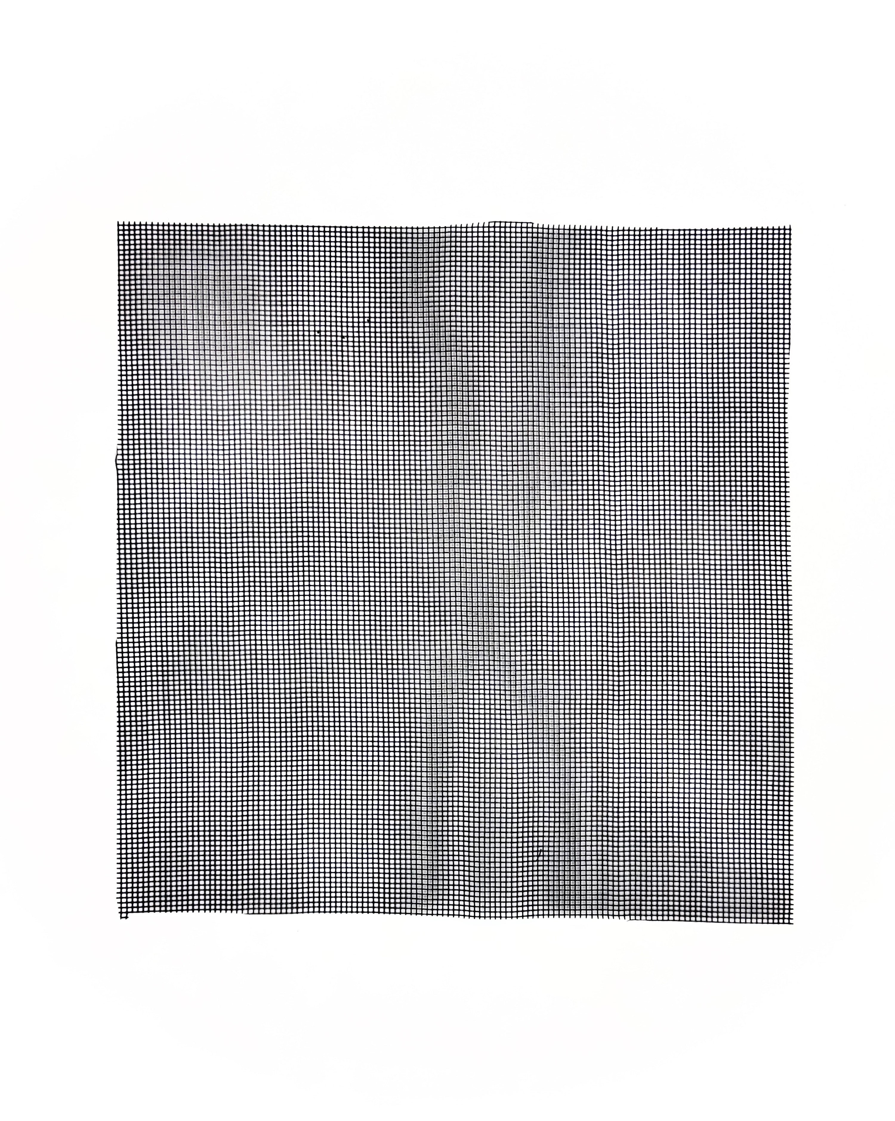 Rete divisoria a maglia stretta 25x25cm Dreaming Plants per separare lo strato di drenaggio dal terriccio, essenziale per la longevità di un terrarium chiuso.