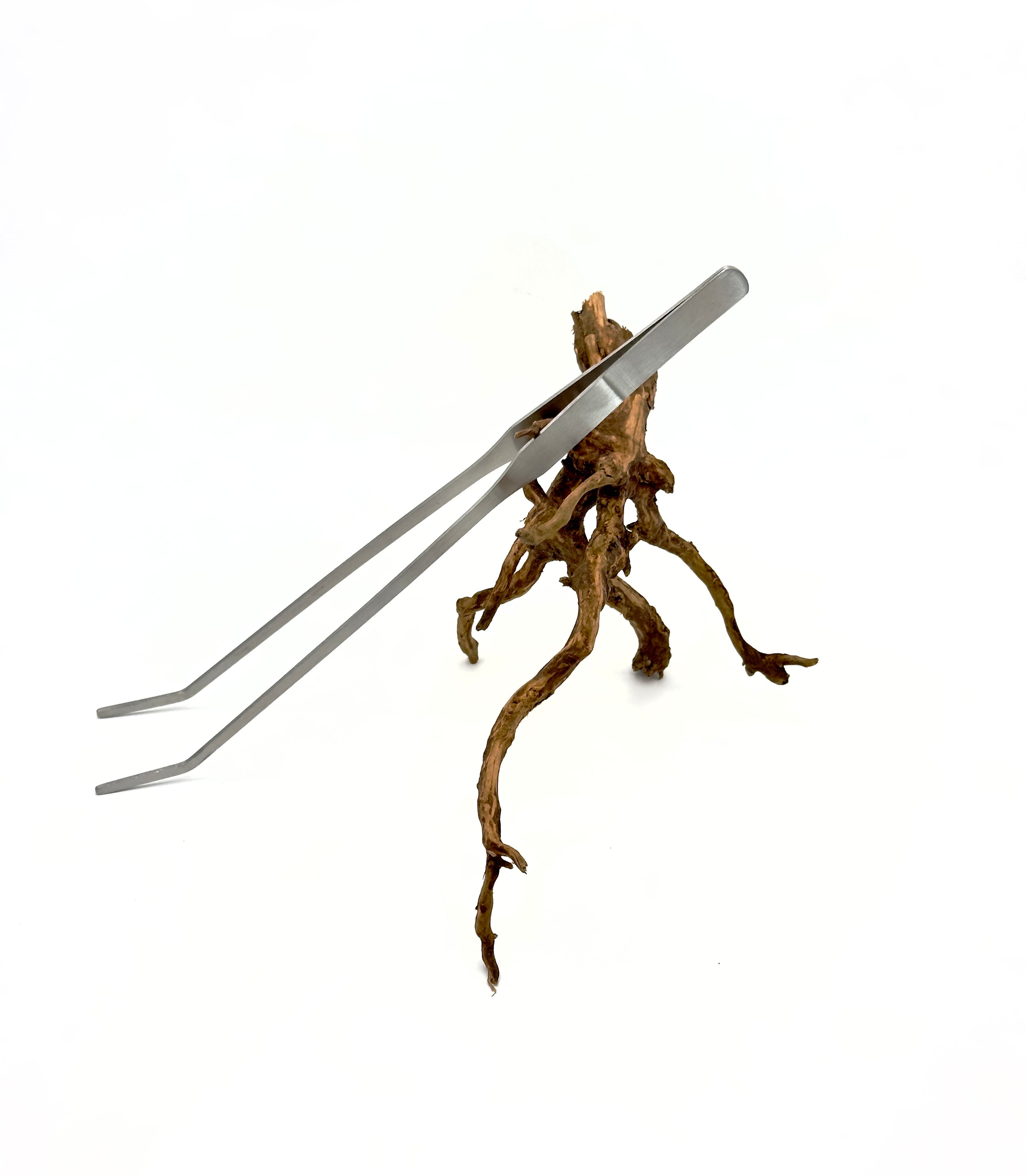 Pinza a Punta Curva 27cm - Strumento di Precisione per Terrarium