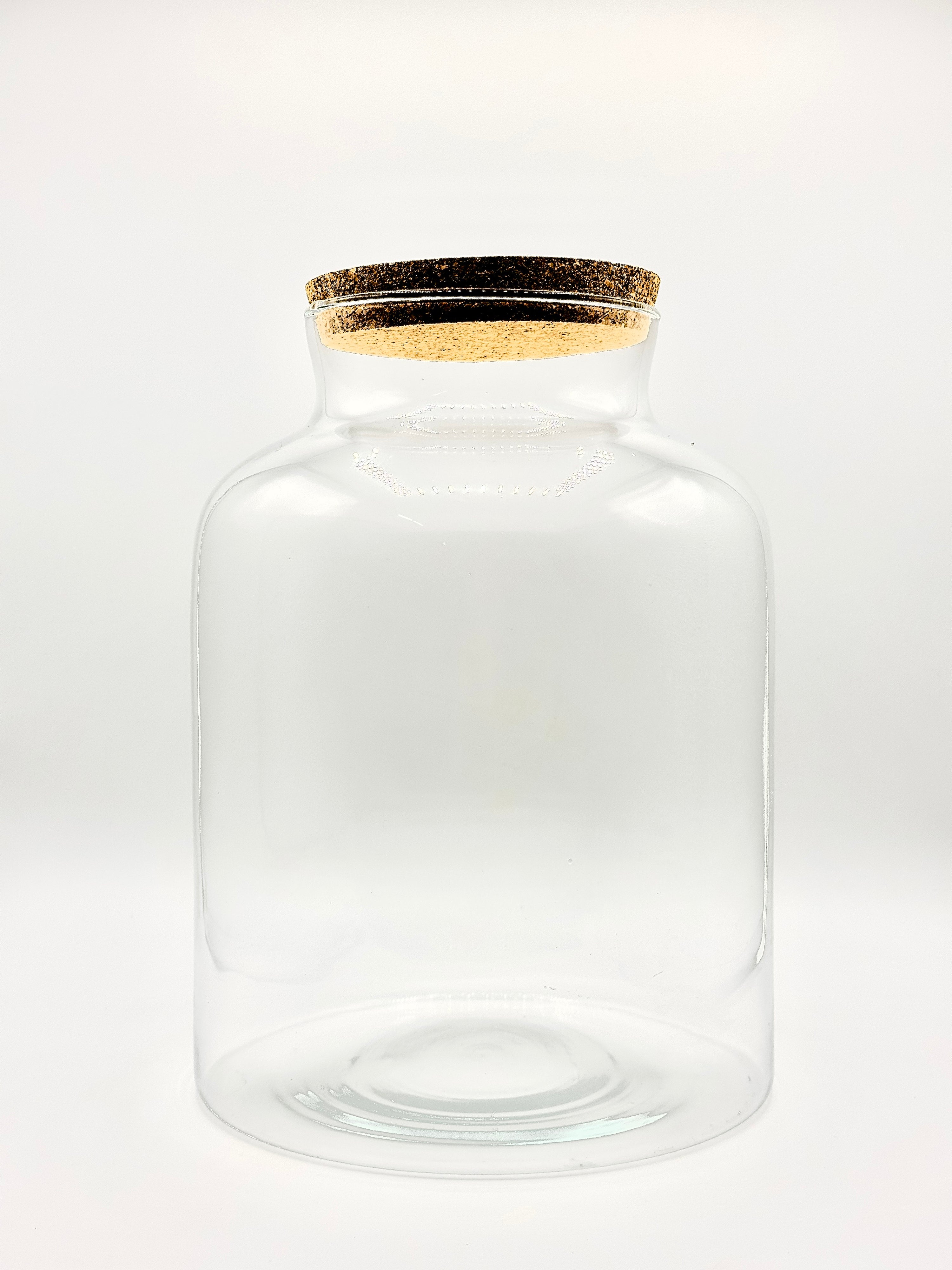 Vaso in Vetro Mars - Contenitore Professionale per Terrarium 21x30cm