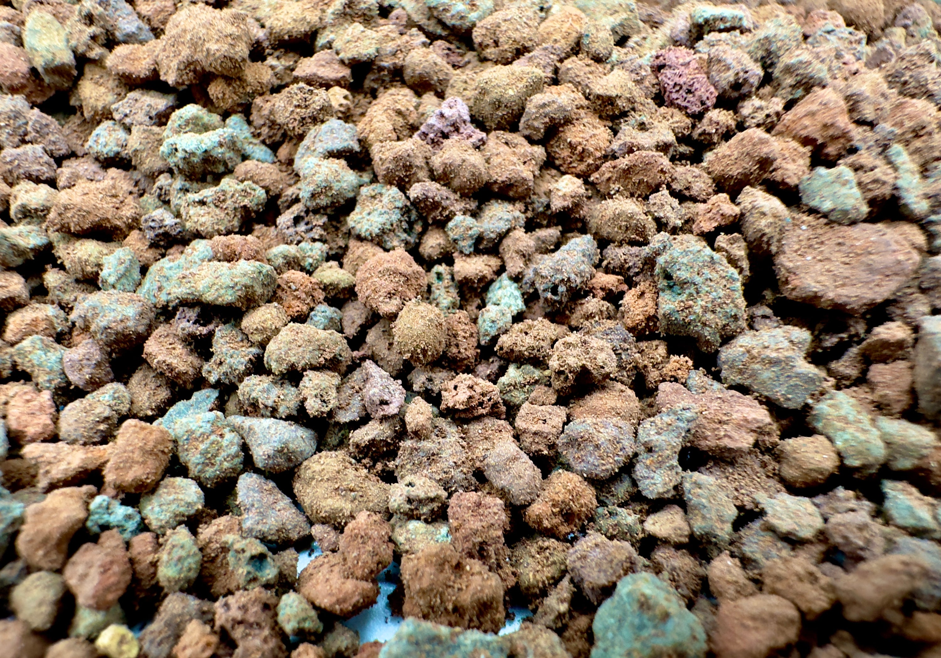 Lapillo Vulcanico 3-5mm 1L - Substrato Naturale per Terrarium e Piante Tropicali
