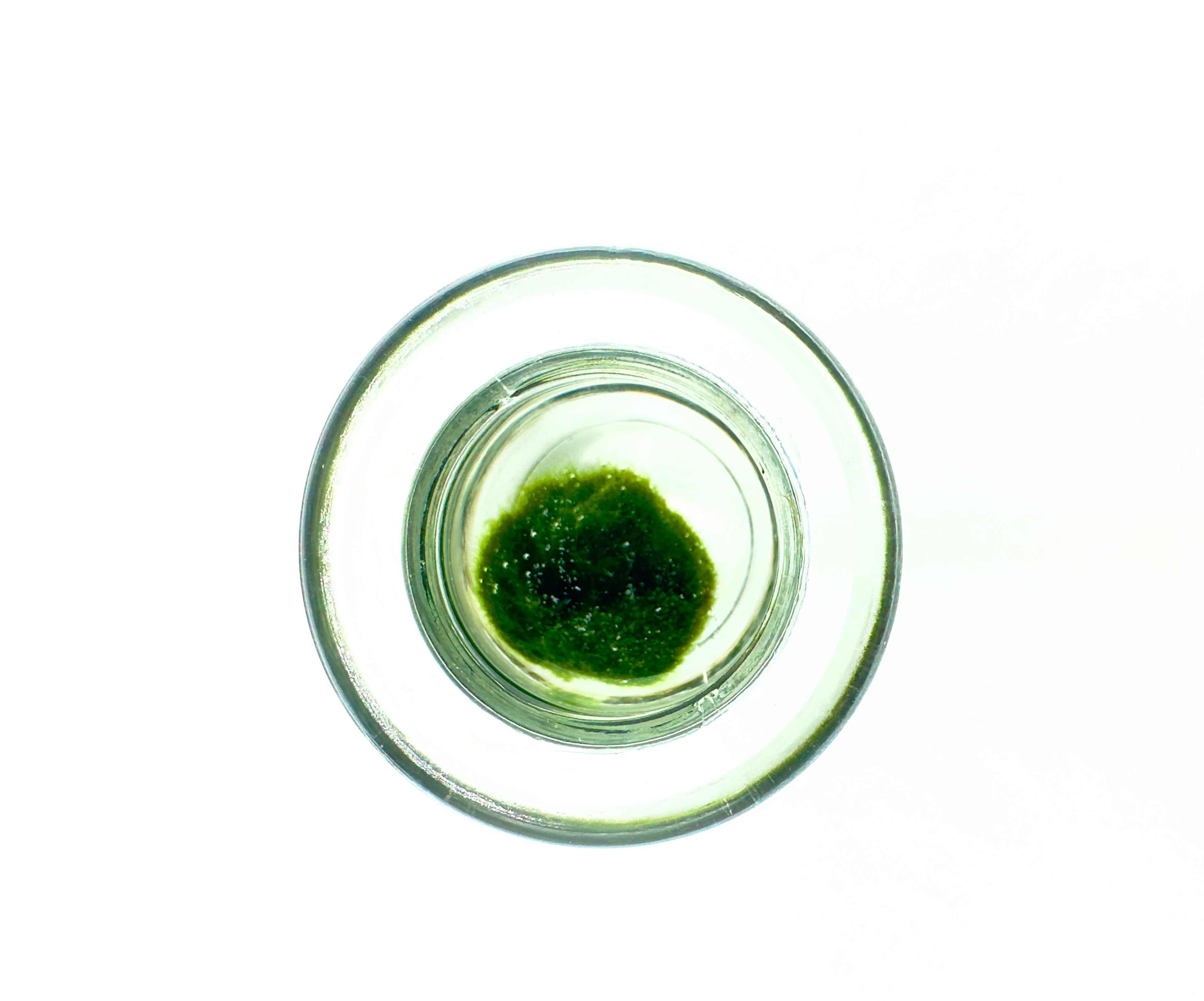 Marimo vasetto Tiny Dream