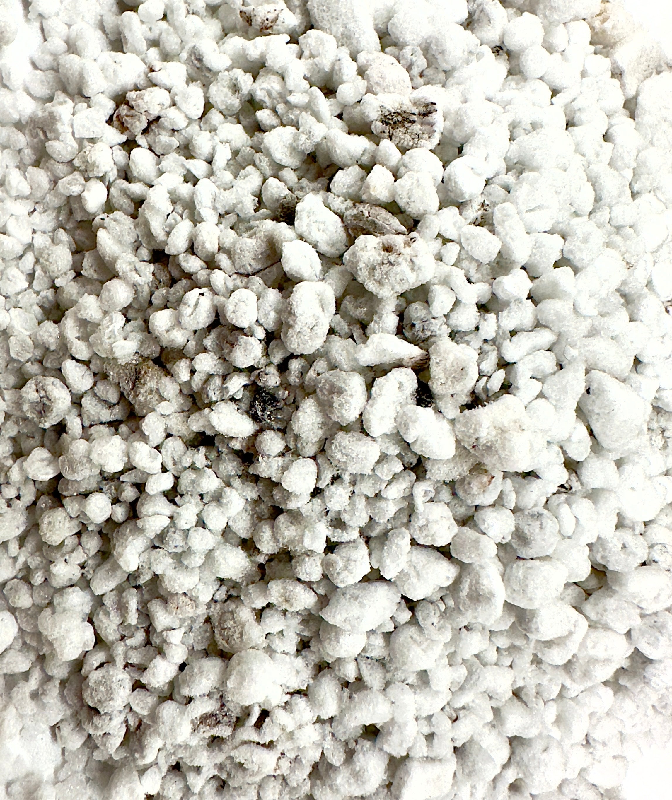 Perlite per Terrarium 1,5L - Supporto Naturale per il Drenaggio e l&