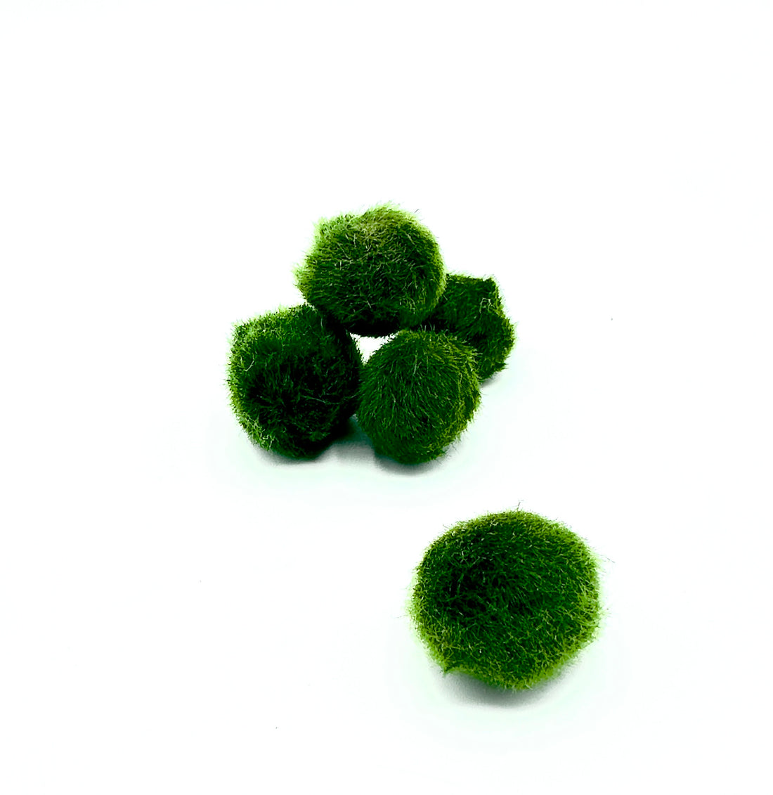 Marimo