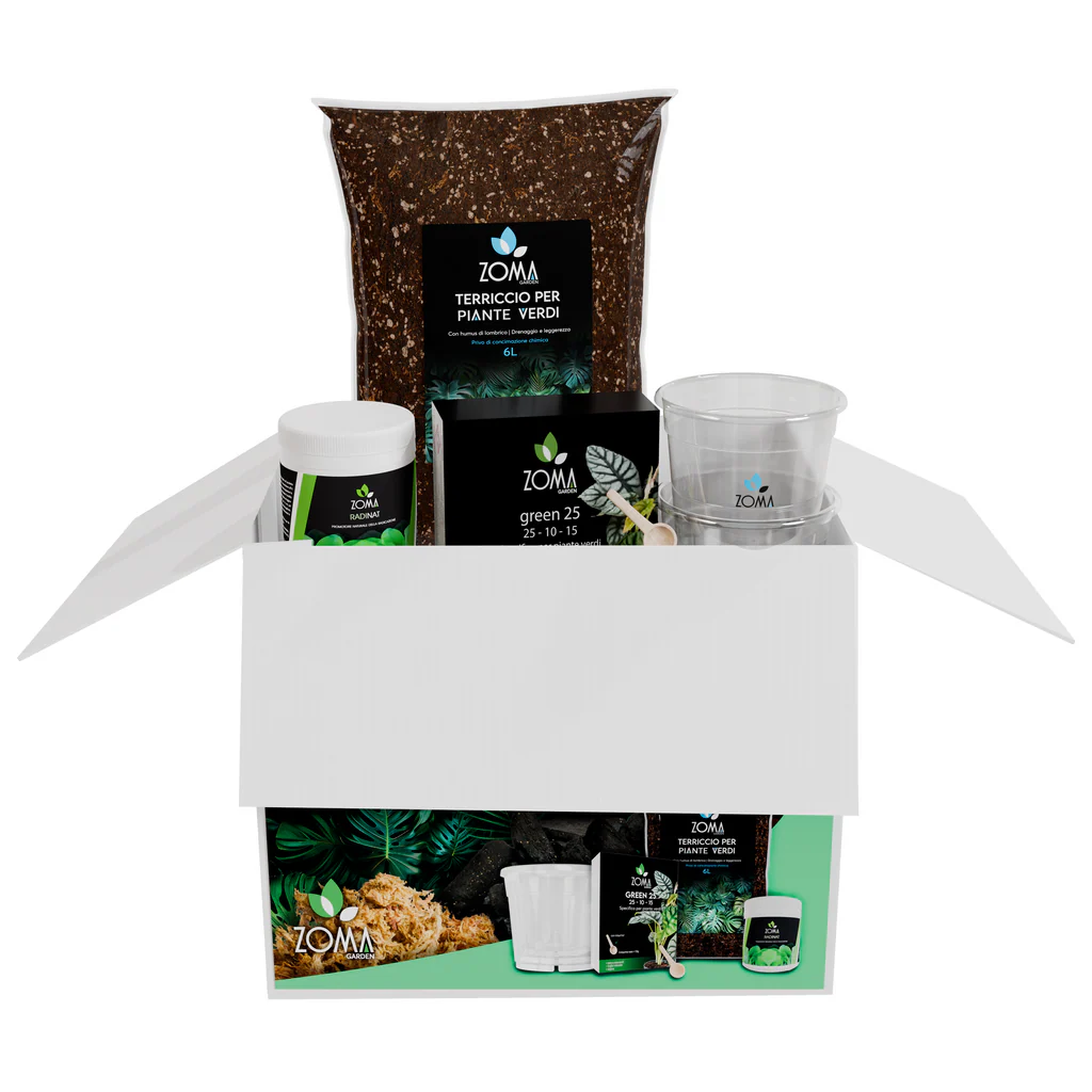 Kit di coltivazione completo per piante verdi di Dreaming Plants con terriccio da 6 litri, 3 vasi trasparenti, concime Green25 e biostimolatore ZOMA Radiant.