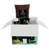 Kit di coltivazione completo per piante verdi di Dreaming Plants con terriccio da 6 litri, 3 vasi trasparenti, concime Green25 e biostimolatore ZOMA Radiant.