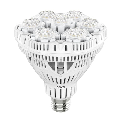 lampadina-led-coltivazione-sansi-br30-36w-dreaming-plants