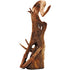 Radice naturale Legno Thai Orchid con ramificazioni fini e dettagliate per aquascaping, acquari e terrari sotto i 20 cm.