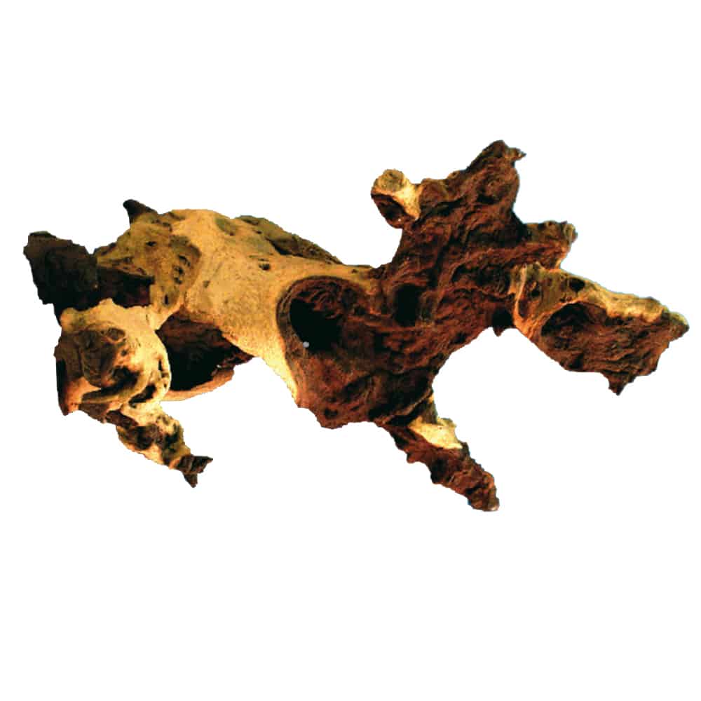 Legno Mopani naturale Dreaming Plants con superficie nodosa e densa, ideale per allestimenti di terrarium tropicali e acquari.