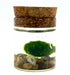 Piccolo Marimo originale Aegagropila linnaei in vasetto di vetro linea Kokoro con ghiaia decorativa, simbolo di cuore e fortuna di Dreaming Plants.