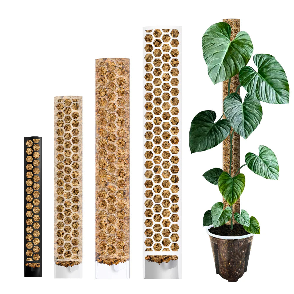 Palo da muschio classico a forma di D PlantScraper, disponibile in versione nera per la taglia S e trasparente per le taglie M, L e XL.
