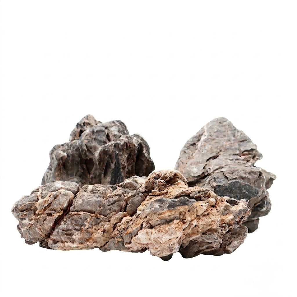 Roccia naturale Dragon Stone (Ohko Stone) con cavità e tessitura argillosa per aquascaping, acquari e terrari.