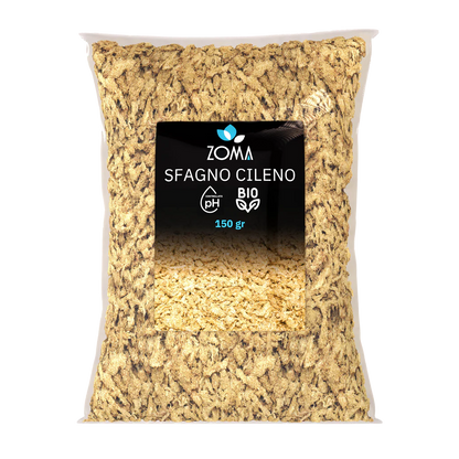 Sfagno Cileno Qualità Premium - Muschio a Fibra Lunga (50g - 150g) 🌿