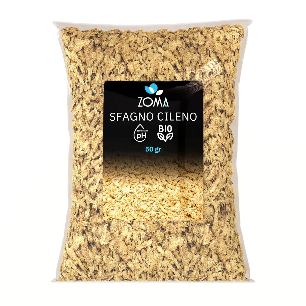 Sfagno cileno premium a fibra lunga di Dreaming Plants, muschio naturale disidratato ideale per l&