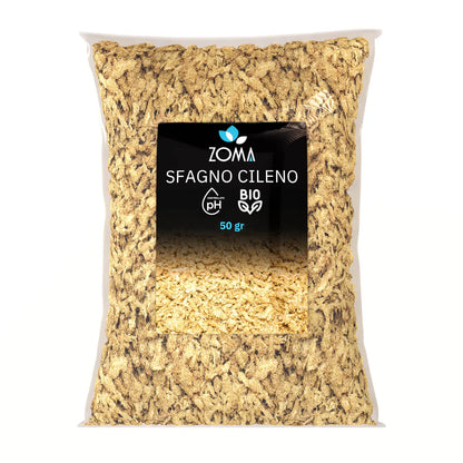 Sfagno cileno premium a fibra lunga di Dreaming Plants, muschio naturale disidratato ideale per l&