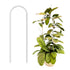 Traliccio ad arco in acrilico trasparente PlantScraper per guidare e sostenere la crescita di hoya, pothos e piante rampicanti da interno.
