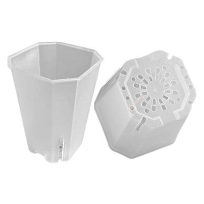 Vaso quadrato alto Squared Aroid Tower Pot PlantScraper in plastica trasparente opaca per lo sviluppo delle radici di piante tropicali e baby plant.
