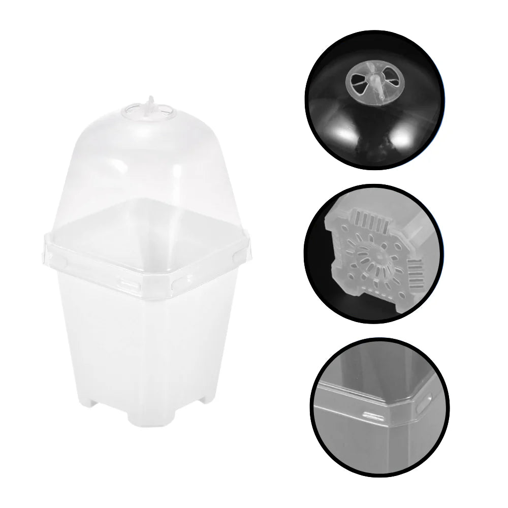 Vaso trasparente per la crescita di baby plants e talee con cupola di umidità e fori di ventilazione.