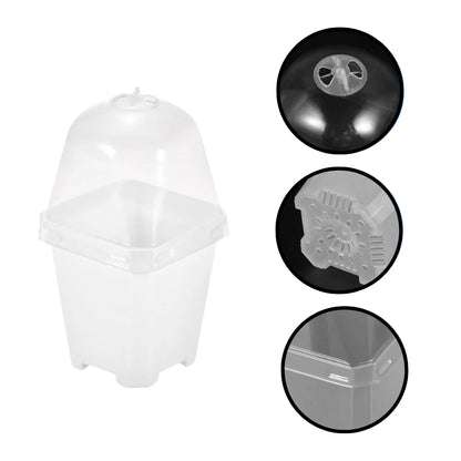 Vaso trasparente per la crescita di baby plants e talee con cupola di umidità e fori di ventilazione.