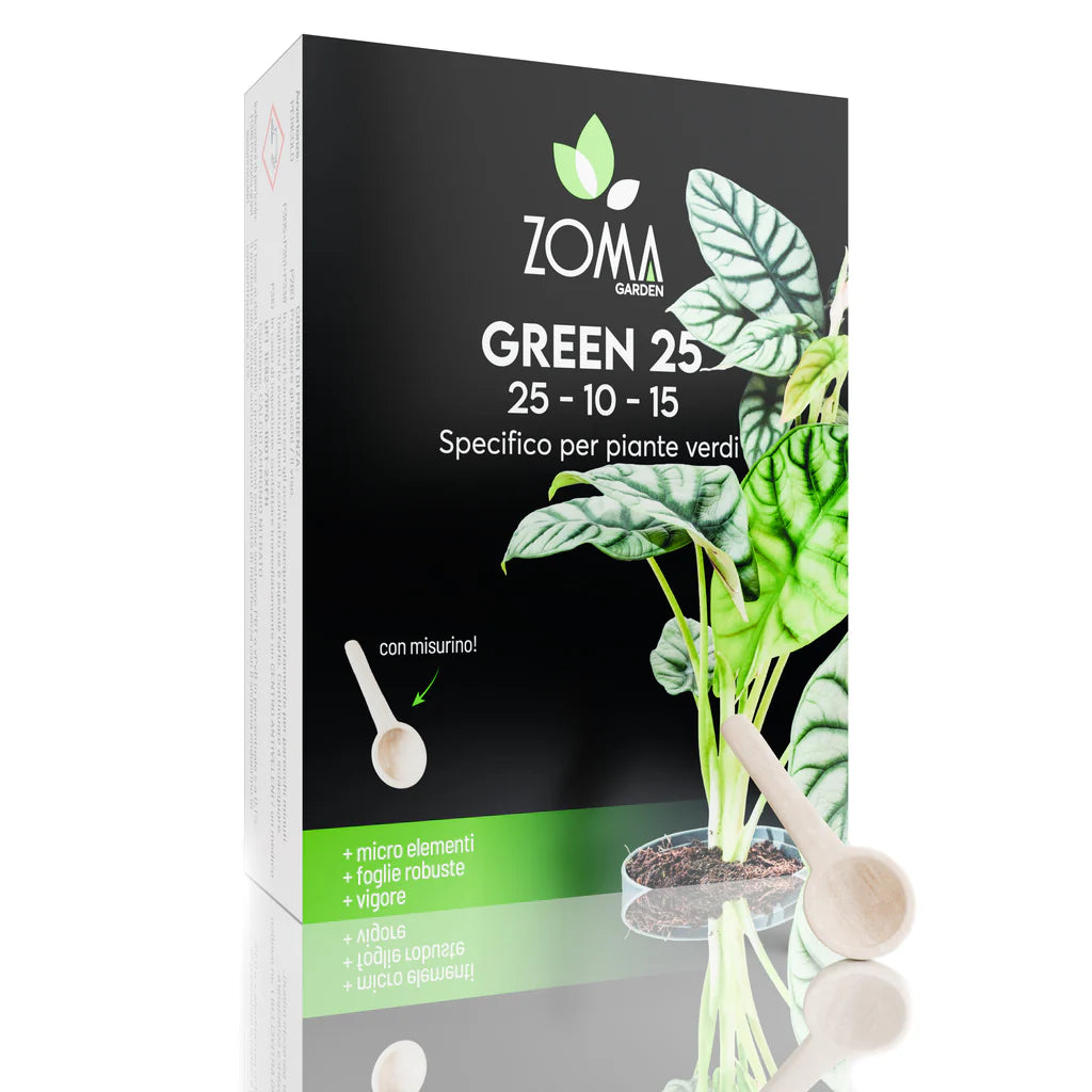 Confezione da 250g di concime professionale in polvere ZOMA Green25 per piante verdi con NPK 25-10-15, ferro chelato, calcio e magnesio.
